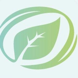 Recomiend.app wave left